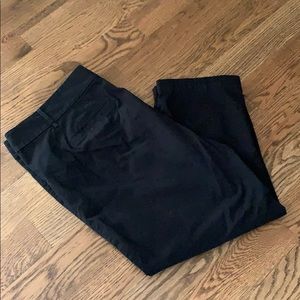 Ann Taylor Loft Original Cropped Pants Size 16